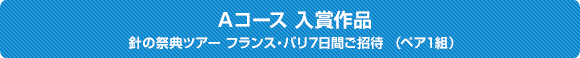 Aコース 入賞作品 針の祭典ツアー フランス・パリ7日間後招待 （ペア1組）