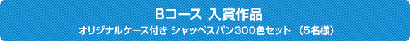 Bコース 入賞作品 オリジナルケース付き シャッペスパン300色セット （5名様）
