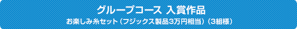 グループコース 入賞作品 お楽しみ糸セット（フジックス製品3万円相当）（3組様）